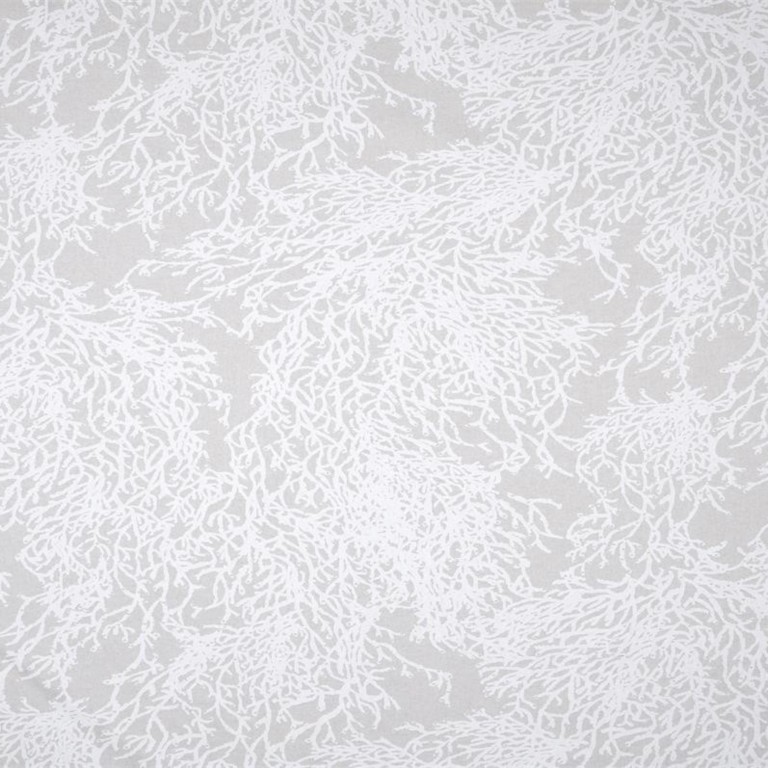 Caledonnie Blanc